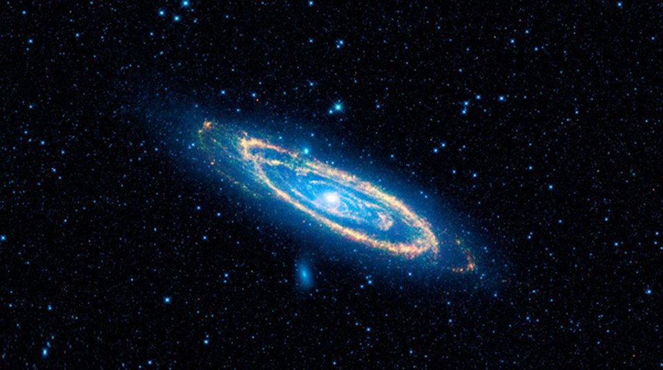 WISE'ın görüntülediği Andromeda Galaksisi.