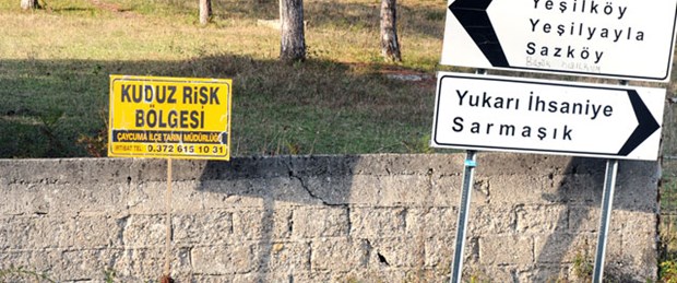 4 köye kuduz karantinası
