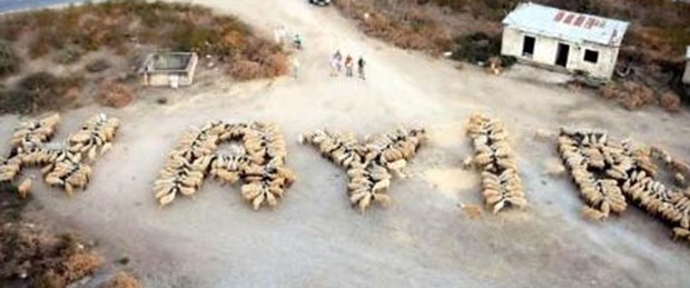 400 koyunla 'Hayır' dediler