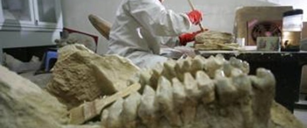 7 bin 600 fosillik dinozor şehri