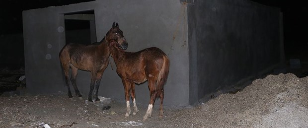 180227-kaçak-et.jpg