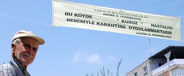 Adana’da kuduz paniği