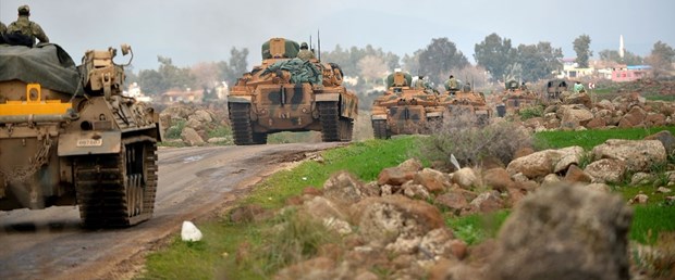 zeytin.jpg