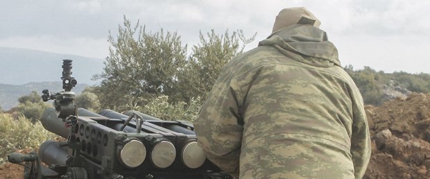 afrin zeytindalı.jpg