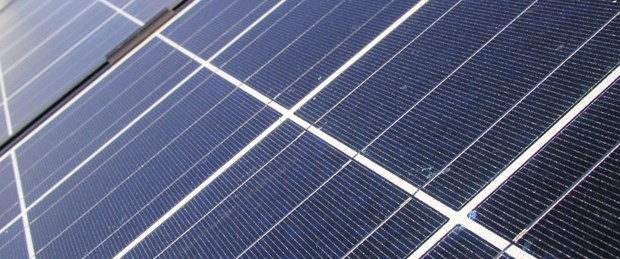 Ağaçları "güneş enerjisi" koruyacak