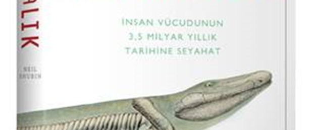Ali DEMİRSOY'un gözünden 'İçimizdeki Balık'