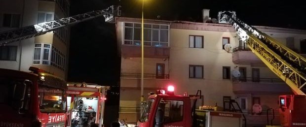 catı.jpg