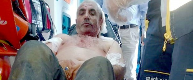 kars ayı saldırısı.jpg