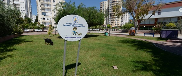 köpek cinayet.jpg