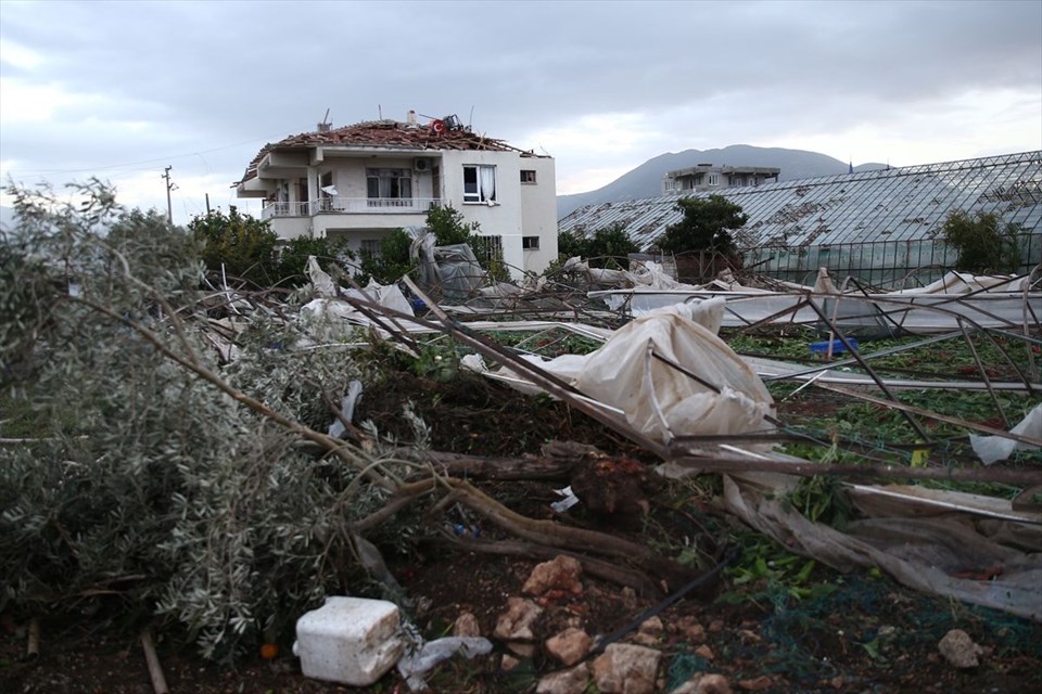 KEMER'DE AĞACA YILDIRIM DÜŞTÜ