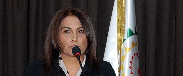 aysel tuğluk.jpg