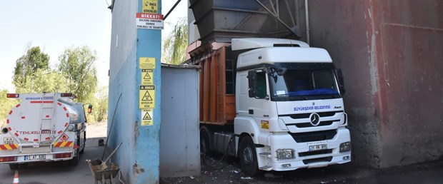 köpek diyarbakır.jpg
