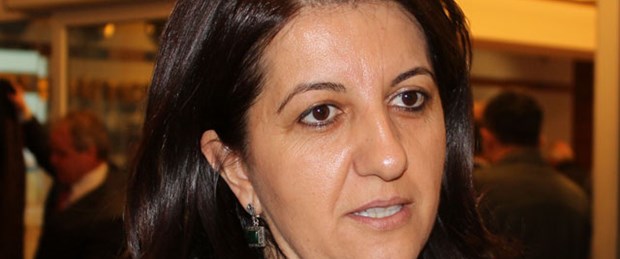 BDP’li vekil ‘Avrupa kanadı’na anlatacak