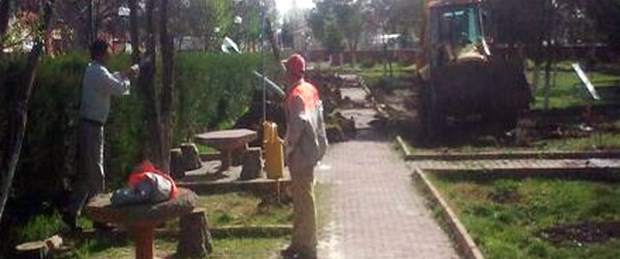 Belediye parktaki ağaçları kesti