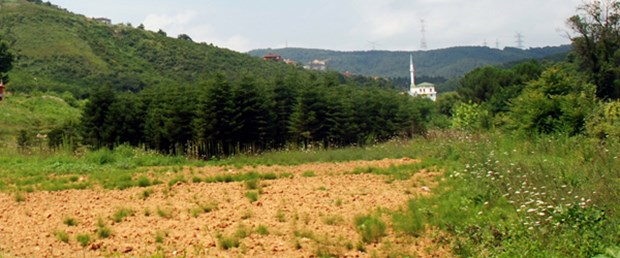 Beykoz, Ümraniye, Sultanbeyli'de 2B yoğunluğu