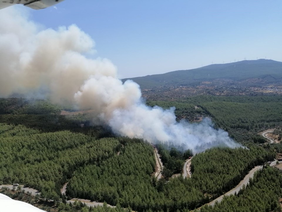 Bodrum ve Milas'ta orman yangını | NTV