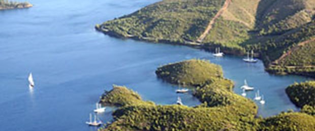 "Bodrum'da çevre cinayeti"
