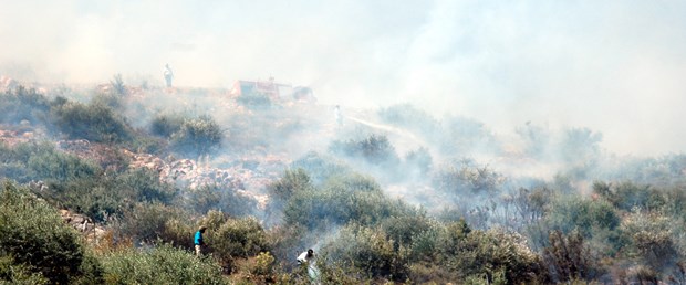Bodrum'da orman yangını söndürüldü