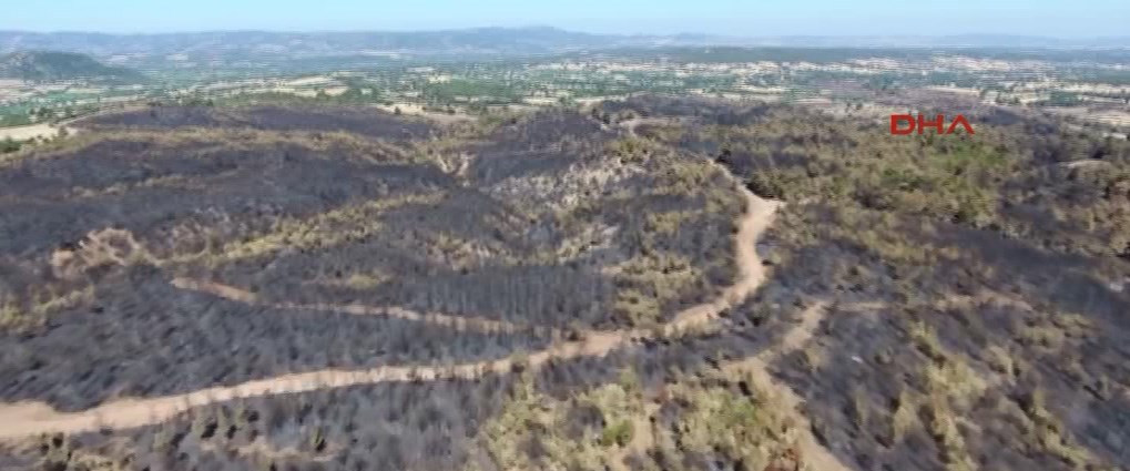 Çanakkale'de bu yılki yangınlarda zarar gören...