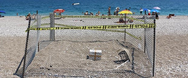 CARETTA.jpg