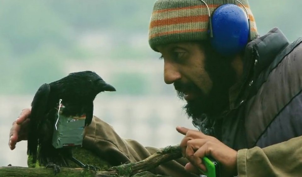 Four Lions