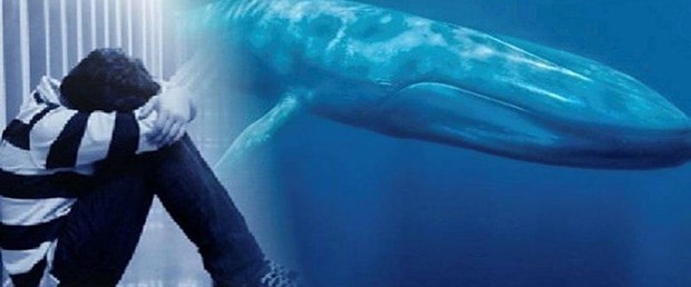 mavi balina ile ilgili görsel sonucu