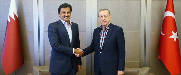 erdoğan al sani.jpg