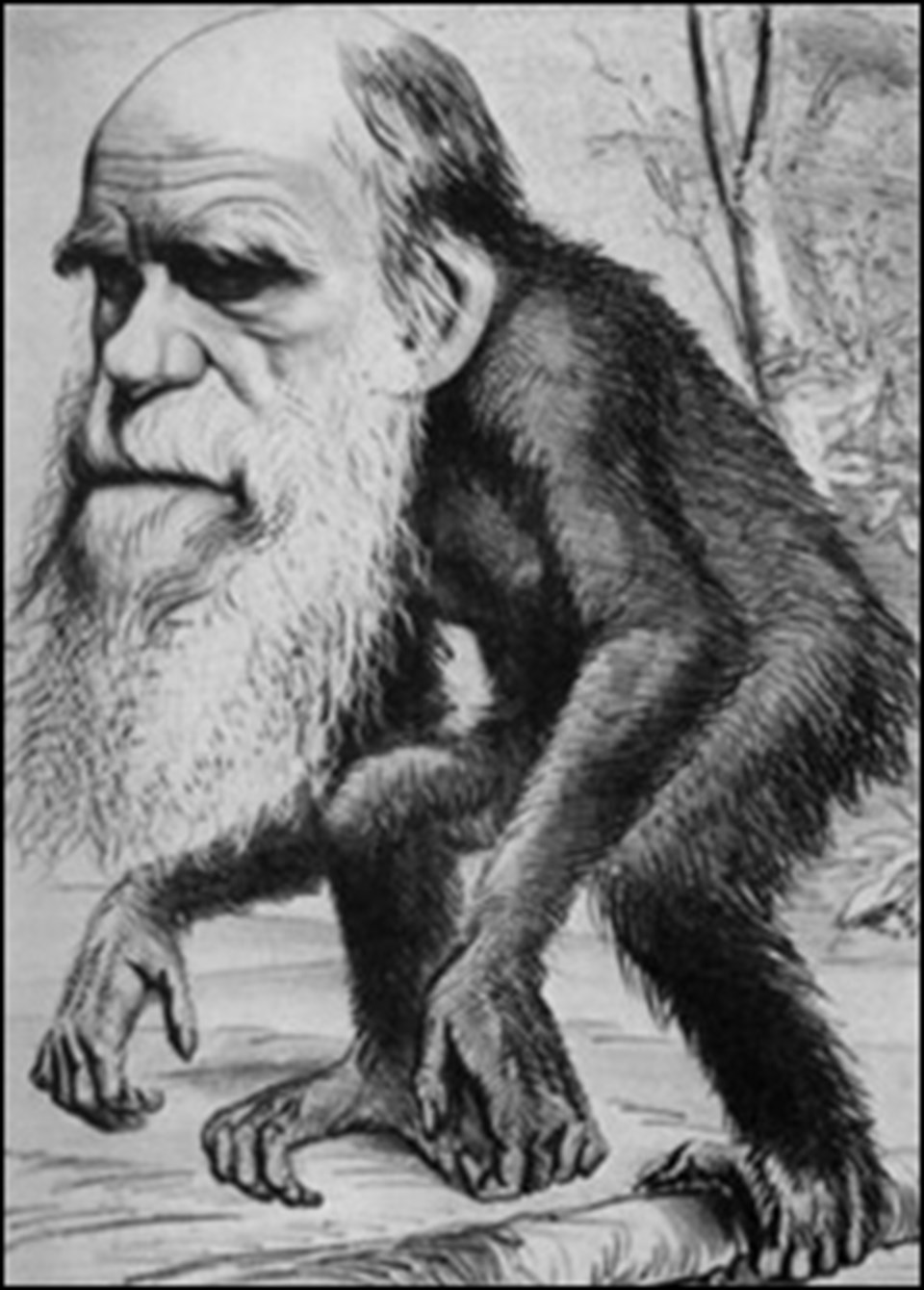 Türlerin Kökeni yayınlandığı yıllarda Darwin sık sık maymun olarak karikatürize edildi.