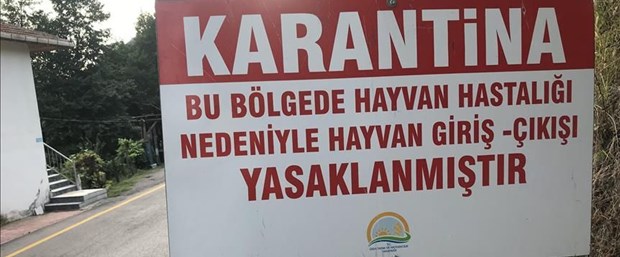karantina.jpg