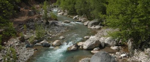"Dereye beton, ağaçlara kıyım"