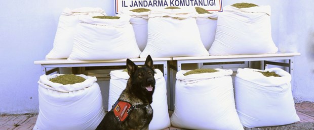 diyarbakır esrar.jpg