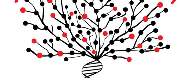 DNA günü kutlanıyor