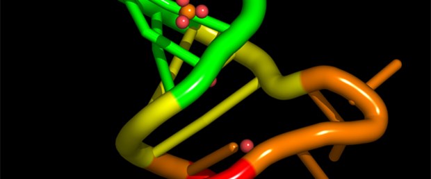 Doktor DNA