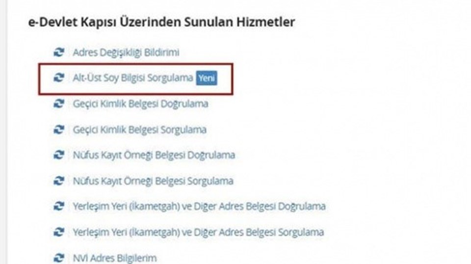 Soyağacı sorgulamak için e-devlet üzerinden Alt-Üst Soy bilgisi Sorgulama'yı seçmeniz gerekiyor.