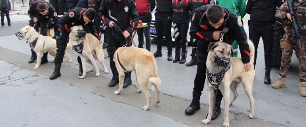 emniyet-yilbasi-icin-hazir-kangal-ve-akbaslar-ilk-defa-gorev-yapacak-genis-haber-_9045_dhaphoto7.jpg