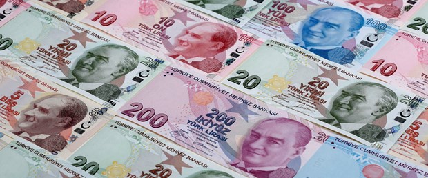 para türk lirası TL darpane döviz.JPG