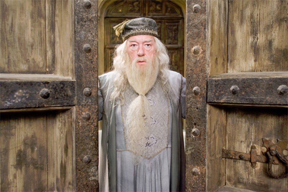 Harry Potter serisinin büyücüsü Dumbledore.