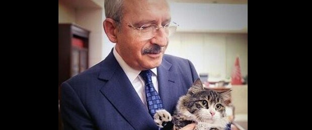 'En sosyal demokrat kedi'