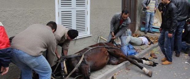 Fayton sefası faciaya döndü: 1 ölü, 3 yaralı