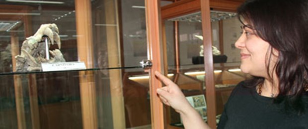 Fosil zengini müze ziyaretçi bekliyor