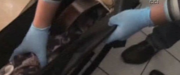 Gitar kılıfından kalaşnikof çıktı