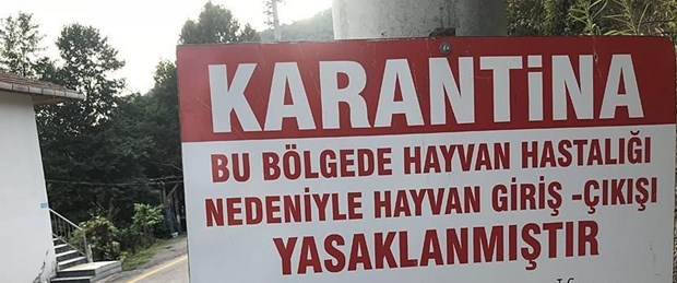 karantina.jpg