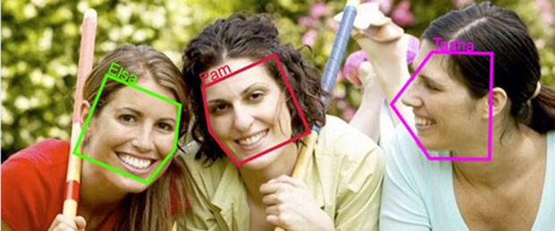 Google, Pittpatt'ı satın aldı
