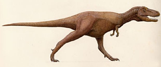 Güneyde de tyrannosaur varmış