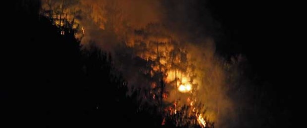 Hatay'da orman yangını