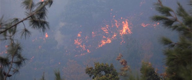 Hatay'da ormanlar yanıyor