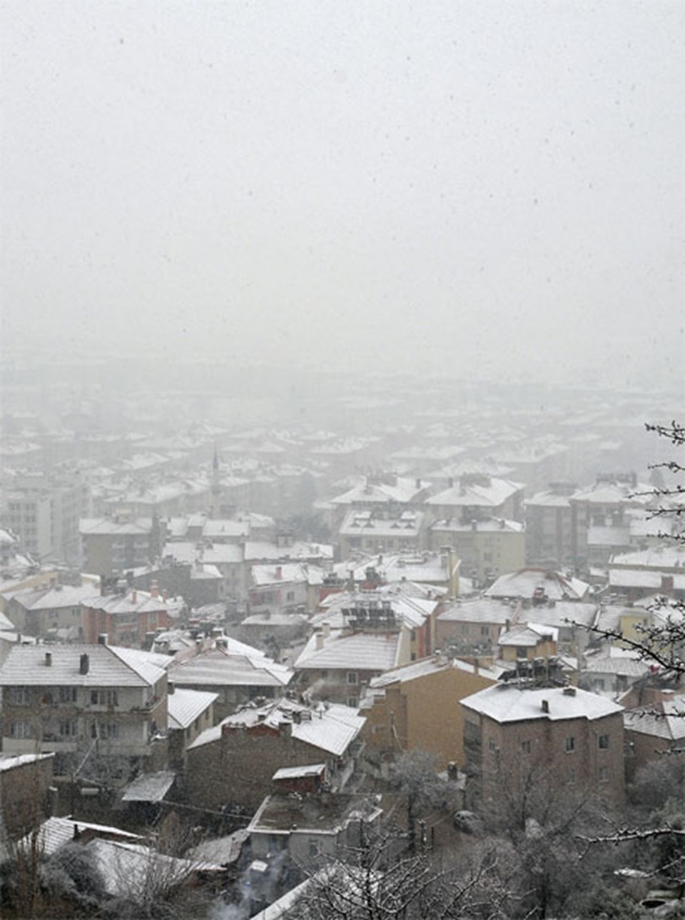 Bu fotoğrafın çekildiği tarih ise 8 Mart, yer yine Muğla.