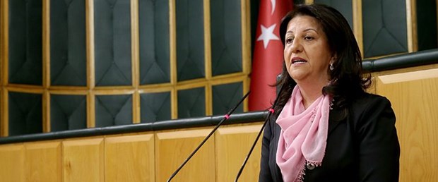 hdp-pervin-kaplan.jpg