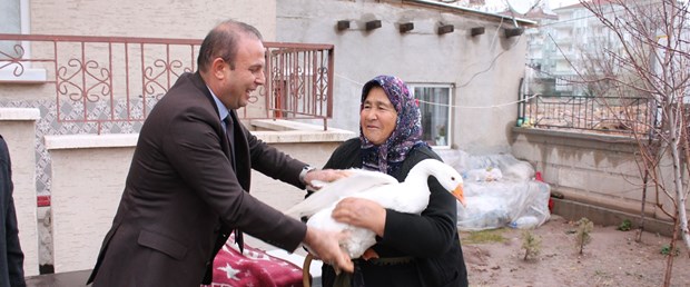 fatik sert hindi