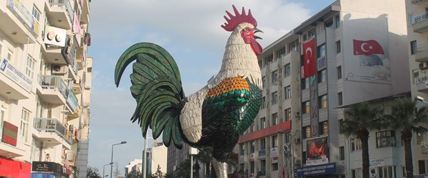 horoz.JPG